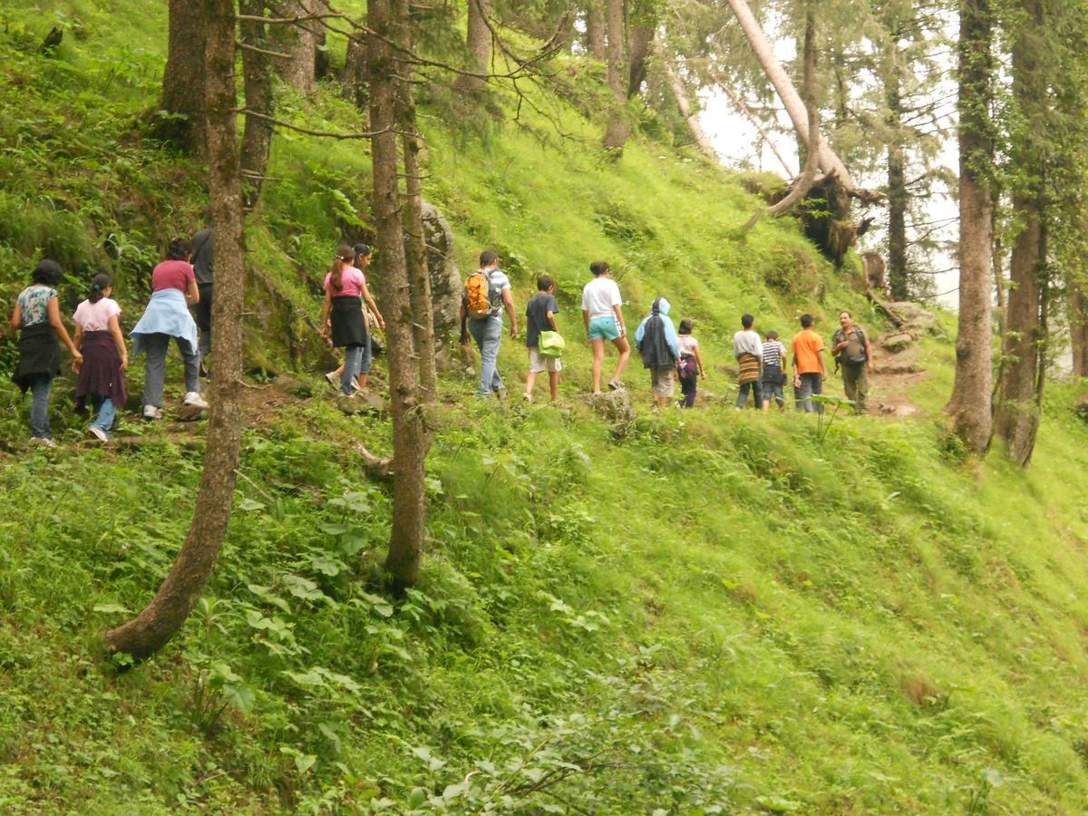 Aamod Resorts Dalhousie ! Luxury Cottage Resort Экстерьер фото