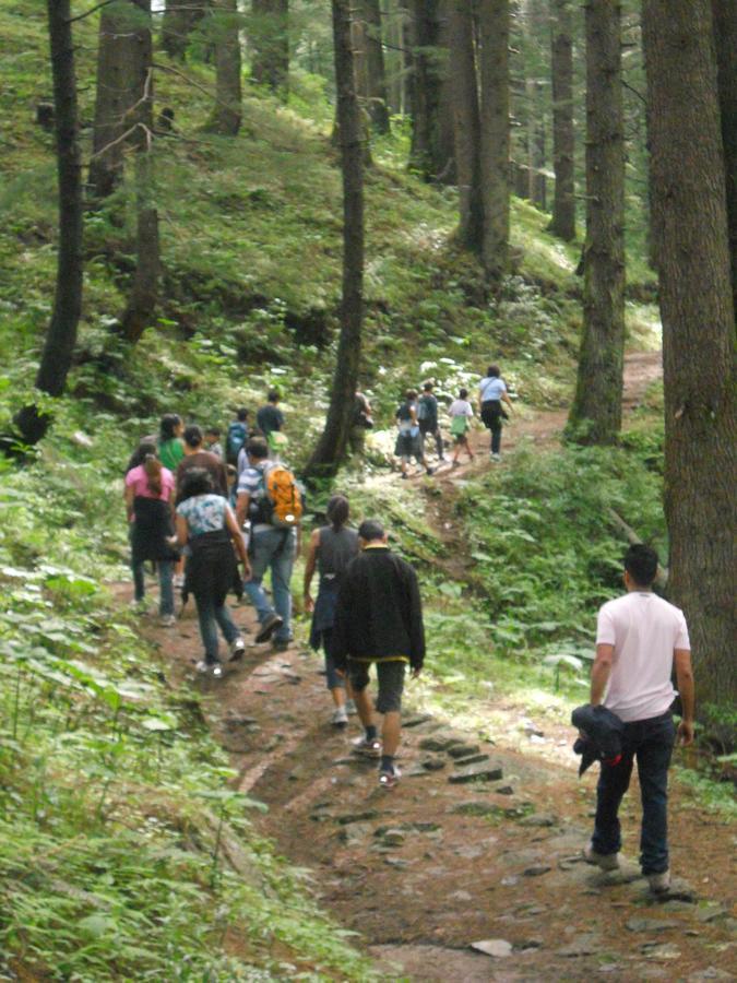 Aamod Resorts Dalhousie ! Luxury Cottage Resort Экстерьер фото